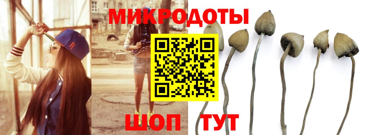 Псилоцибиновые грибы прущие грибы Алатырь